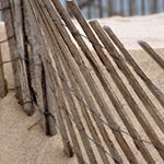 Profile Picture of Diane Pineault (@fernchris2) on Instagram