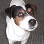 Profile Picture of lecomte robert (@robert2metz) on Instagram