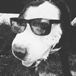 Rudy Chavez - Instagram Profile Picture of Rudy Chavez (@rudythedopeman) on Instagram