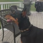 Profile Picture of Steven Jason (@steven_jason19) on Instagram