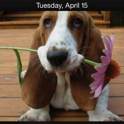 Profile Picture of Spidey Brent-Hurst (@sbrenthurst) on Twitter