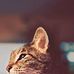 Profile Picture of David Handa (@david.handa.313) on Facebook