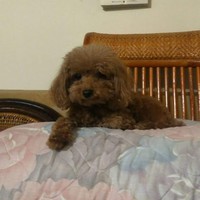 Profile Picture of Jasmine Coe (@jasmine-coe-9) on Quora