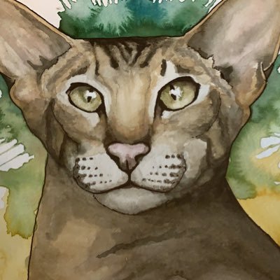 Profile Picture of Kevin Jordan (@livewire1221) on Twitter