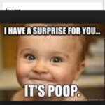 Profile Picture of Tucker Adams (@tuckman2005) on Instagram