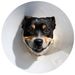 Profile Picture of Steve Ball (@steveballphotos) on Pinterest