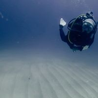 Profile Picture of Tori Galloway (@tori-galloway-2) on Quora