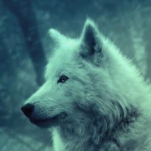 Profile Picture of JOSEPH BARR (@josephbarr8) on Tiktok