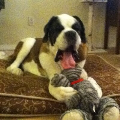 Profile Picture of Kim McConkey (@Conkey2Kim) on Twitter