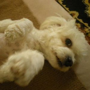 Profile Picture of Robert Skinner (@284451994) on Myspace