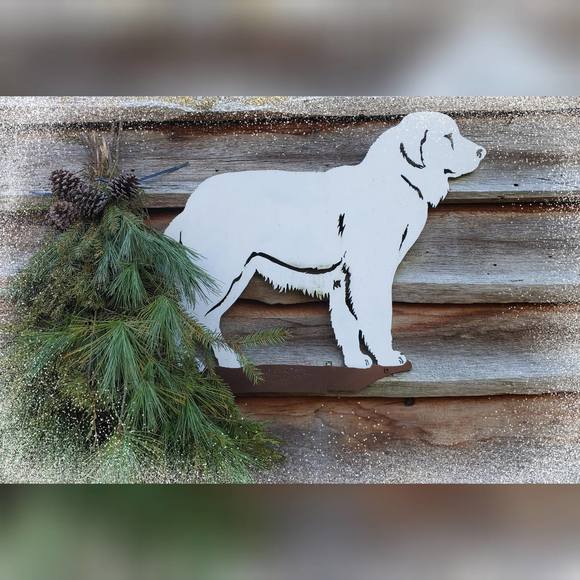 Profile Picture of Donna Ciancitto (@mdc56) on Poshmark