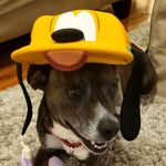 Profile Picture of Raymond Espinoza Kammer (@lbr_littlebabyray) on Instagram