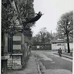 Profile Picture of Michael Bembenek, Jr (@michaelbembenekjr) on Instagram