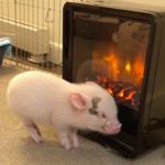 Drew Geller - Instagram Profile Picture of Drew Geller (@dgeller06) on Instagram