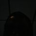 Profile Picture of Allen Stubblefield (@allen.stubblefield.71) on Facebook