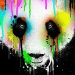 Profile Picture of Jason Nipp (@jason_15_nipp) on Instagram