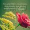 Profile Picture of Carla Cozza (@Carla-Cozza) on Facebook