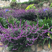 Profile Picture of Ana Hsieh (@hsiehcj1983) on Youtube