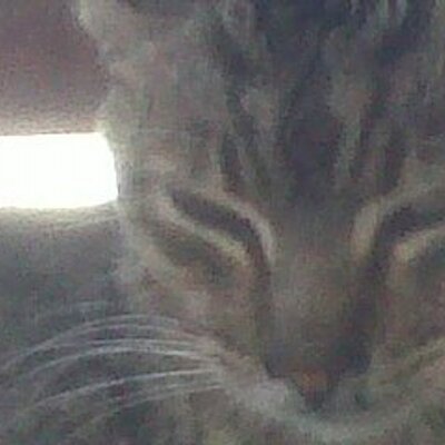 Profile Picture of  ☀ ♥ Nathan Knowles  ♥ ☀ (@nk_followback) on Twitter