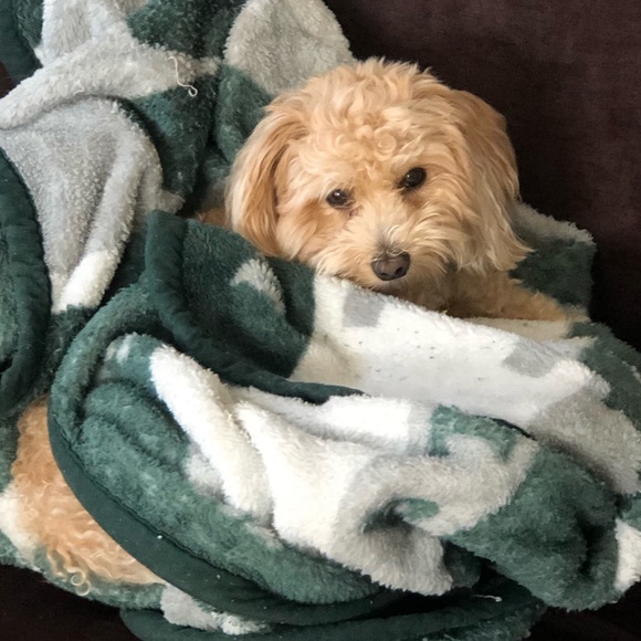 Duncan Sheridan - Poshmark Profile Picture of Duncan Sheridan (@duncanunc) on Poshmark