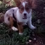 Profile Picture of Jason Anspach (@Jason-Anspach) on Facebook