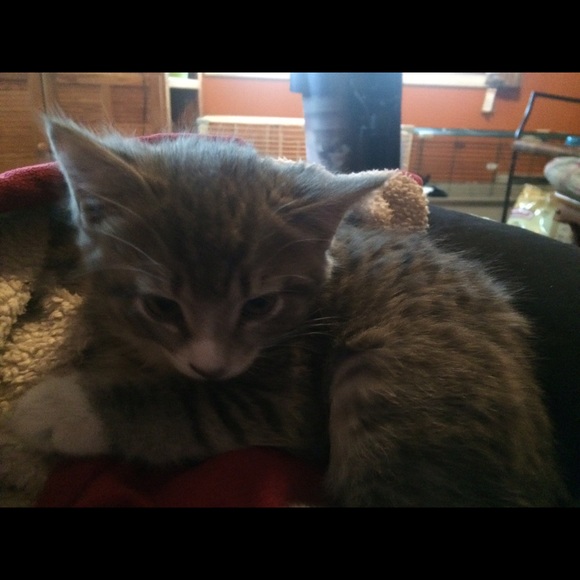 Emily Langone - Poshmark Profile Picture of Emily Langone (@emily_langone) on Poshmark