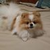 Profile Picture of Steven Eischen (@steven.eischen.7) on Facebook