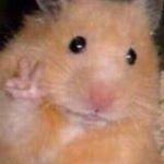 Profile Picture of Прахт Андрей Николаевич (@prachtandrew) on Instagram