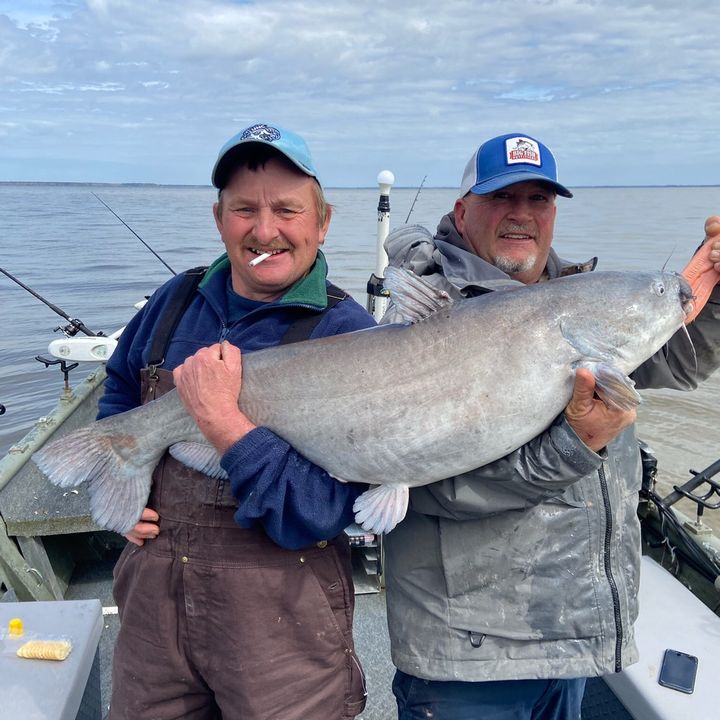 Kevin Kerley - Tiktok Profile Picture of Kevin Kerley (@@kevinkerley1) on Tiktok