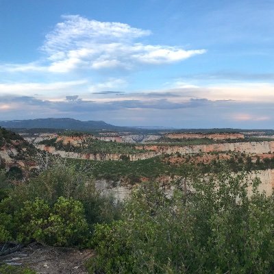 Profile Picture of Scott Boyce (@TheScottBoyce) on Twitter