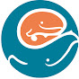 Profile Picture of SeattleChildrens (@@SeattleChildrens) on Tiktok