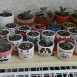 Profile Picture of Janeth (@amor_x_suculentas) on Instagram