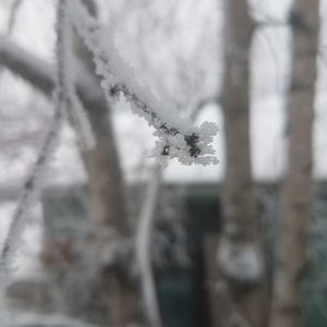 Profile Picture of Robin Garner (@Robinfromhawaii) on Twitter