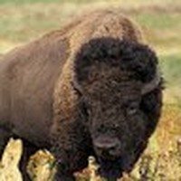 Profile Picture of Matthew Zinno (@matthew-zinno) on Quora