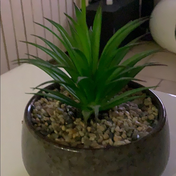 Profile Picture of Marissa Monares (@mmo643) on Poshmark