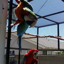 Profile Picture of Jared Slater (@jslate55) on Twitter