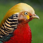 Profile Picture of Troutresource.com (@troutresource.com) on Flickr