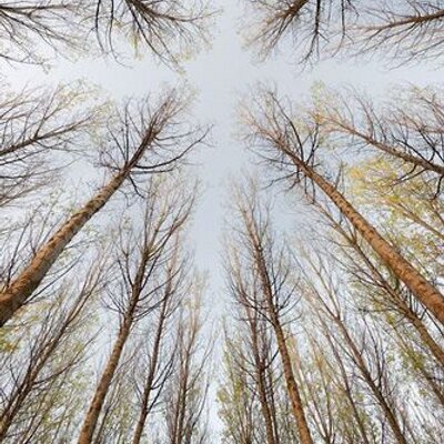 Profile Picture of Andrew Wojciak (@wojand59) on Twitter