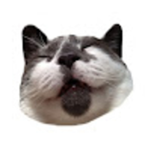 Profile Picture of Anna Forlenza (@chef_teddy) on Poshmark