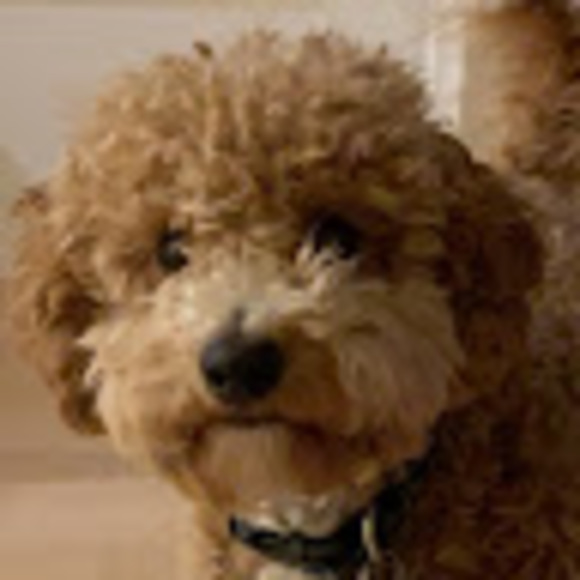 Profile Picture of Erik Ellefson (@erikellefson3) on Poshmark