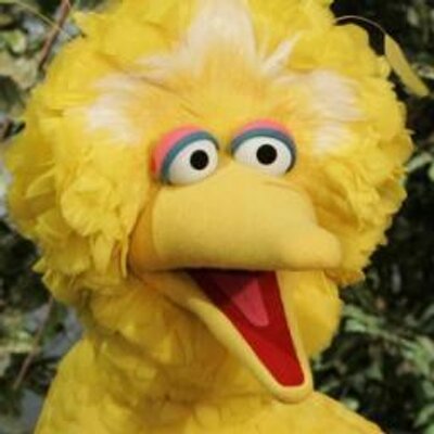 Profile Picture of Paul Van Loon (@paul_van_loon) on Twitter