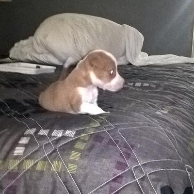 Profile Picture of Keith Eastep (@KEBO83) on Twitter