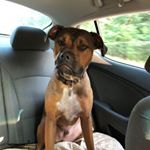 Profile Picture of Stephen Duval (@stephen.duval3) on Instagram