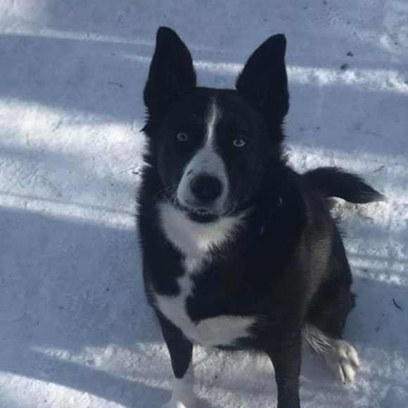 Profile Picture of Mitchell Hirsch (@mitchhirsch) on Poshmark