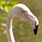 Profile Picture of martin stokes (@Brummie 1978) on Flickr