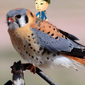 Profile Picture of Nathan Botts (Electrogust12) (@nathanbotts2270) on Youtube