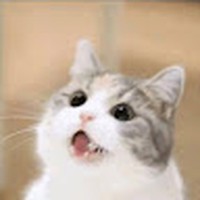 Profile Picture of Sandy Chou (@sandy-chou-20) on Quora