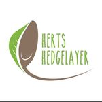 Profile Picture of Steve Waters (@waters6537woodsman) on Instagram