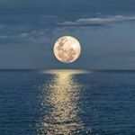 Profile Picture of Luis Fernando Tostes (@luisfernando.tostes) on Instagram