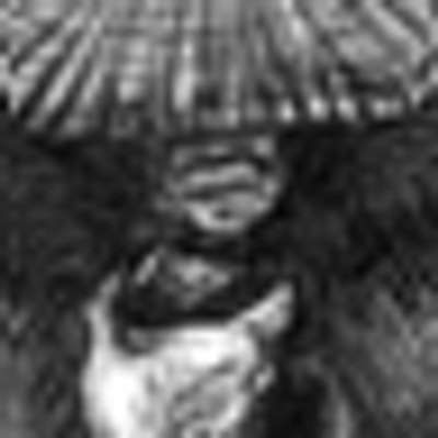 Profile Picture of Peter Kelemen (@peterkelemen) on Twitter